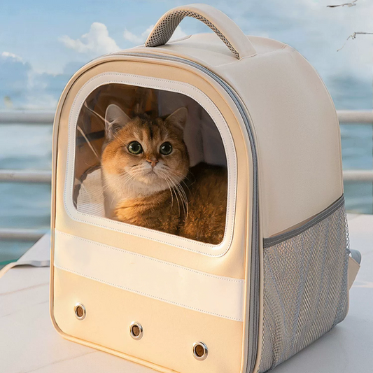 2024 Portable Cat Bag - Durable and Beautiful, Handheld and Backable, Convenient and Essential